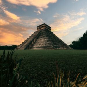 pexels manei 13196943